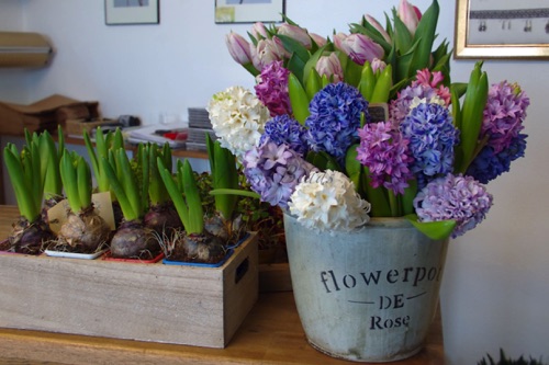 ...Frühling! Ja du bist´s, dich habe ich vernommen!